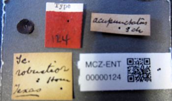 Media type: image;   Entomology 124 Aspect: labels